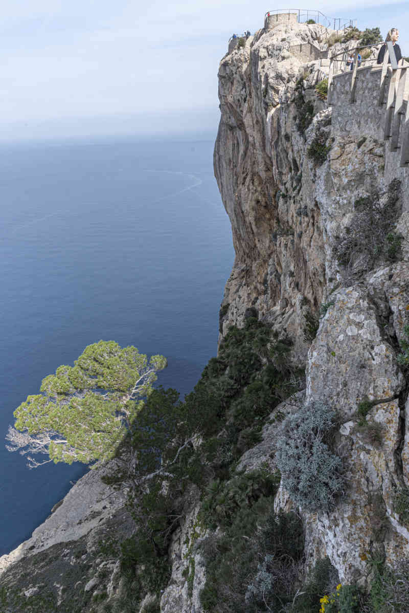Mallorca - Pollença 09 - cabo de Formentor - mirador Es Colomer.jpg